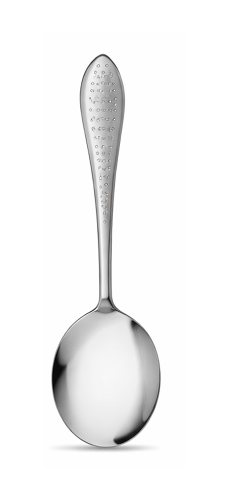 Cambridge Cutlery CS0628 Dot Fish Curry Spoon Card