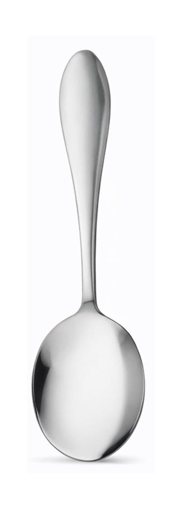 Cambridge Cutlery CS0629 Plain Curry Spoon Card