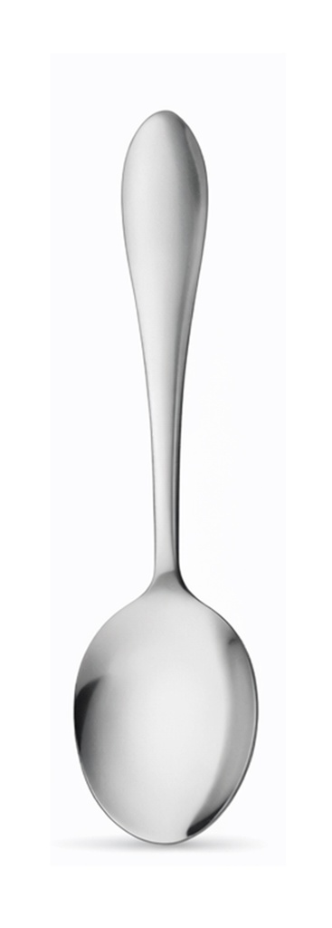 Cambridge Cutlery RS0729 Plain Rice Spoon Card