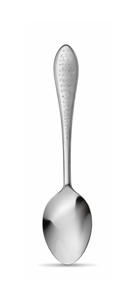 Cambridge Cutlery TS0368 Dot Fish Tea Spoon Card